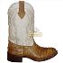 Bota masculina texas latego tatu sv8144